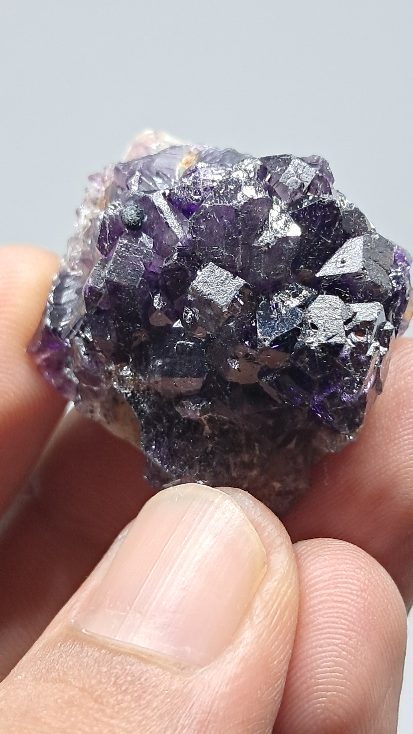 Amatista Elestial Morada Profunda sobre Cuarzo | Inclusiones de Hematita Goethita Rutilo | Cristal Natural | Muestra Mineral #KA195