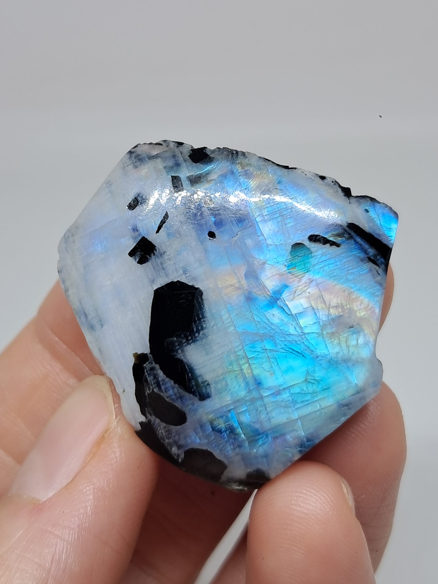 White Labradorite | Rainbow Moonstone *High Grade* (Tamil Nadu) Rough & Polished Stone | Natural Rock #MN17