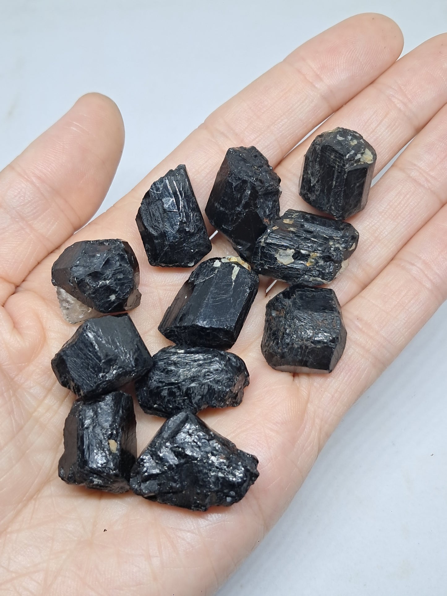 Small Black Tourmaline Crystals (Karnataka) Natural Stone | Mineral Specimen #BT3