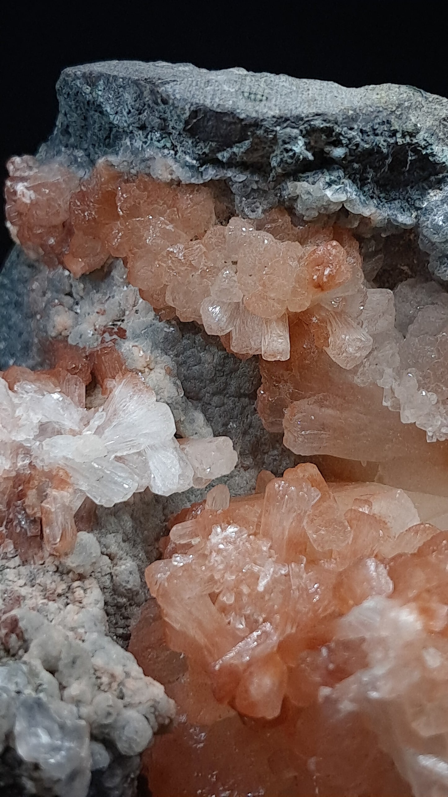Peach Stilbite-Ca In Basalt (Ajanta) | Large Bow, Fan & Sheaf Crystal Aggregates | Self-standing #ZL29
