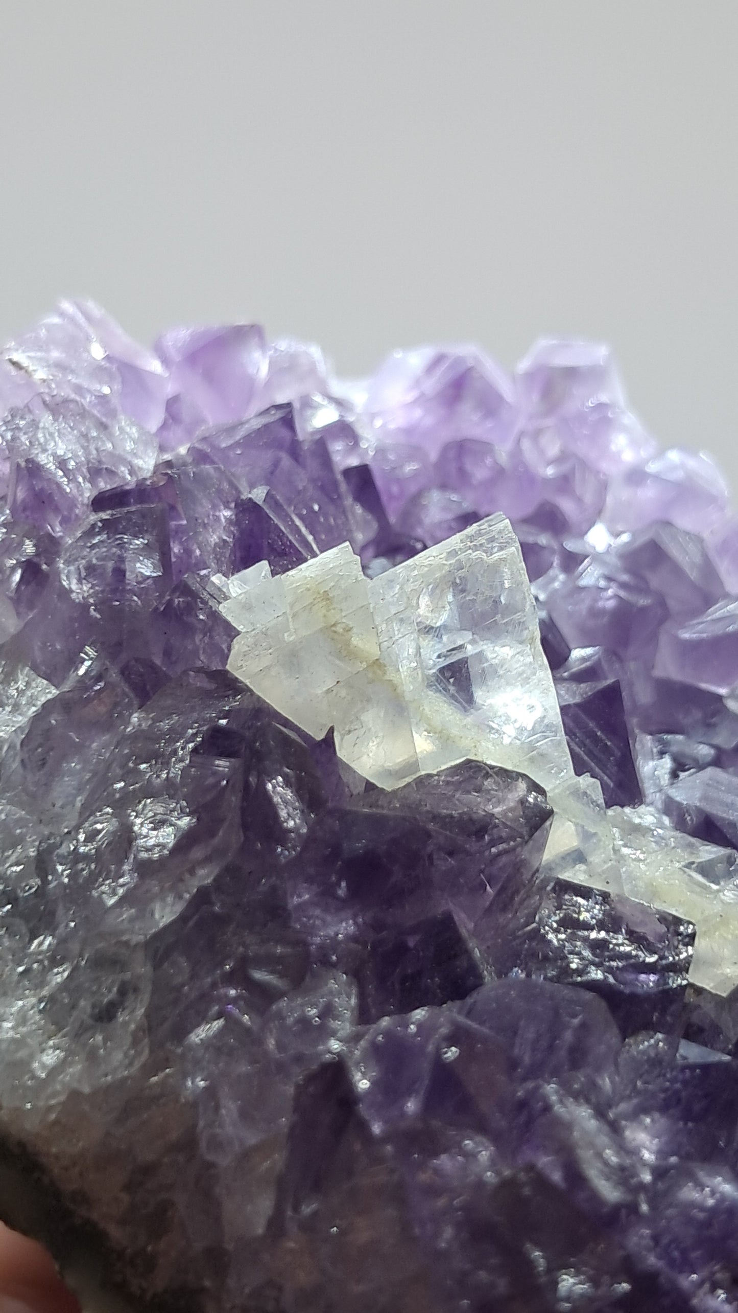 Amatista púrpura intenso con calcita reactiva a los rayos UV (Brasil) | Clúster natural | Muestra de mineral #AMB4