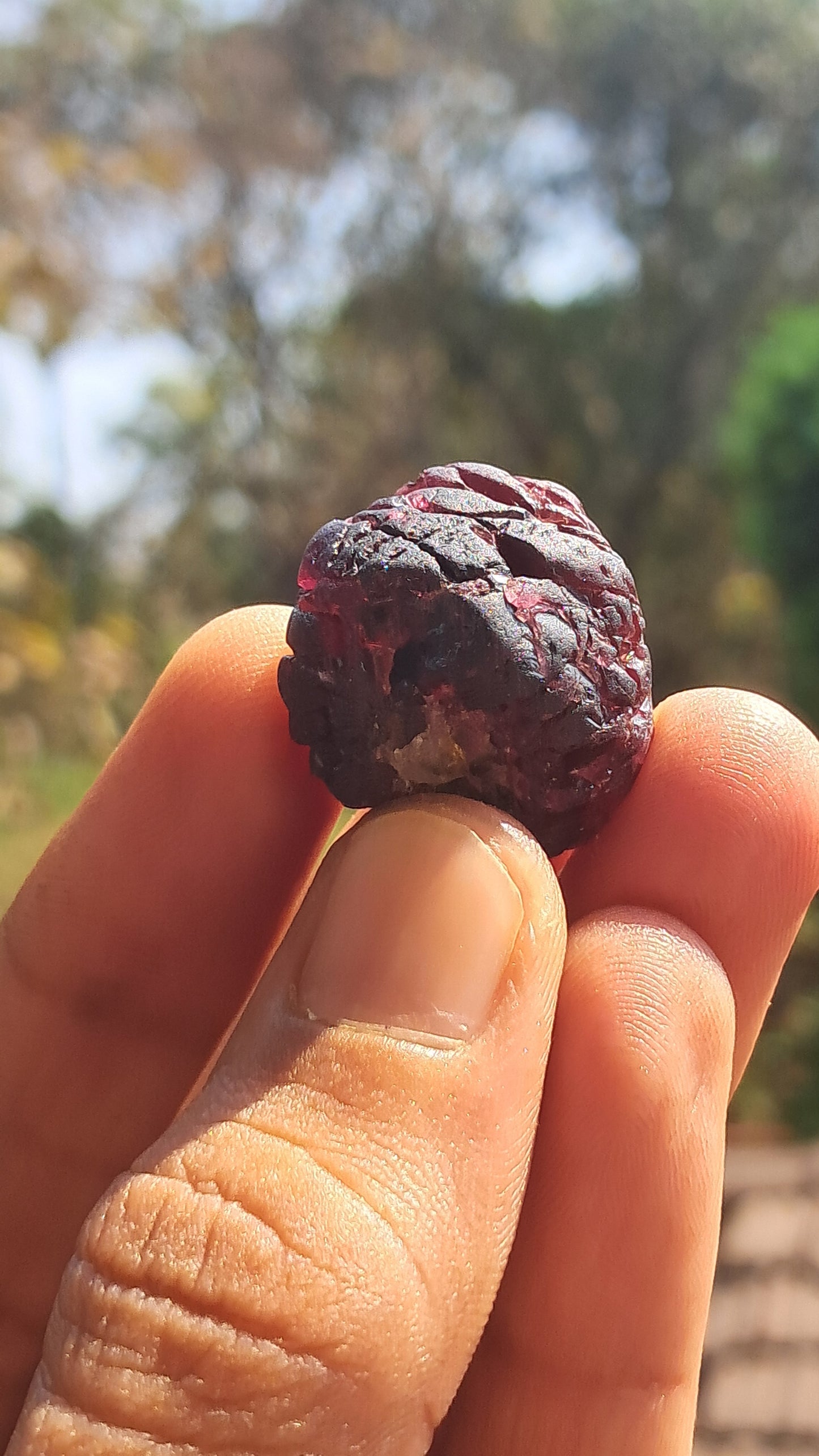 Red Garnet (Karur) | River worn | Natural Stone #RG1