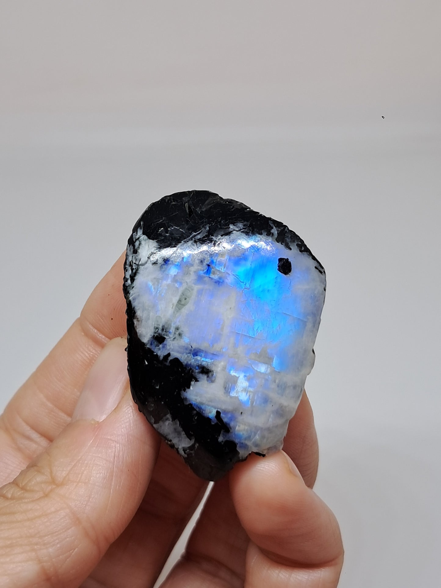 White Labradorite | Rainbow Moonstone *High Grade* (Tamil Nadu) Rough & Polished Stone | Natural Rock #MN23