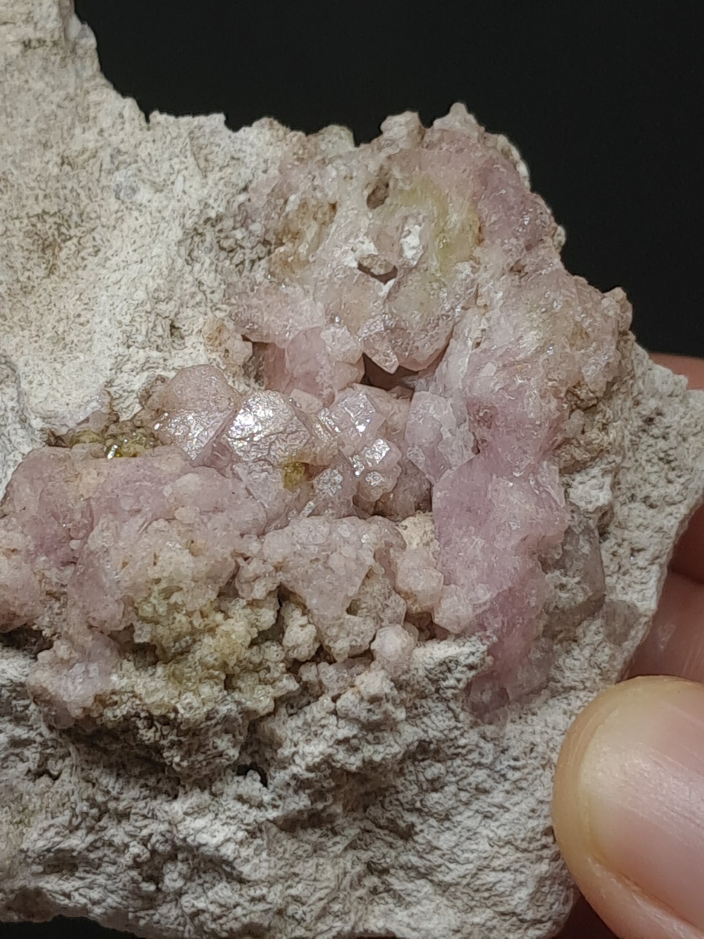 Grossular Garnet on Matrix (Mexico) Pink Garnet Cluster |Rough Crystal Stone | Mineral Specimen #GR18