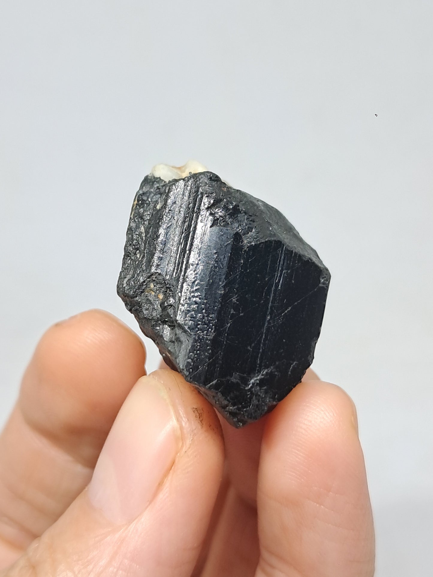 Black Tourmaline Crystal (Karnataka) Natural Stone | Mineral Specimen #BT9