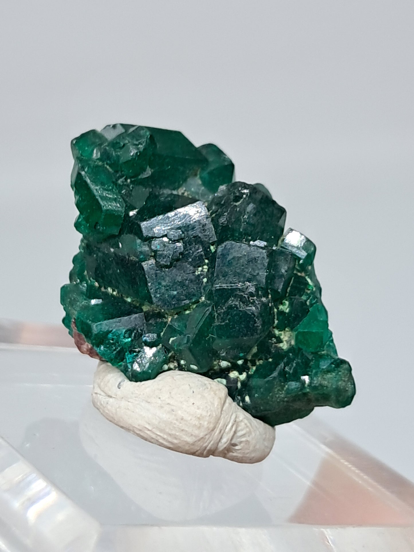 Cúmulo natural de dioptasa (República Democrática del Congo) | Cristal en bruto | Ejemplar mineral n.° DPT3