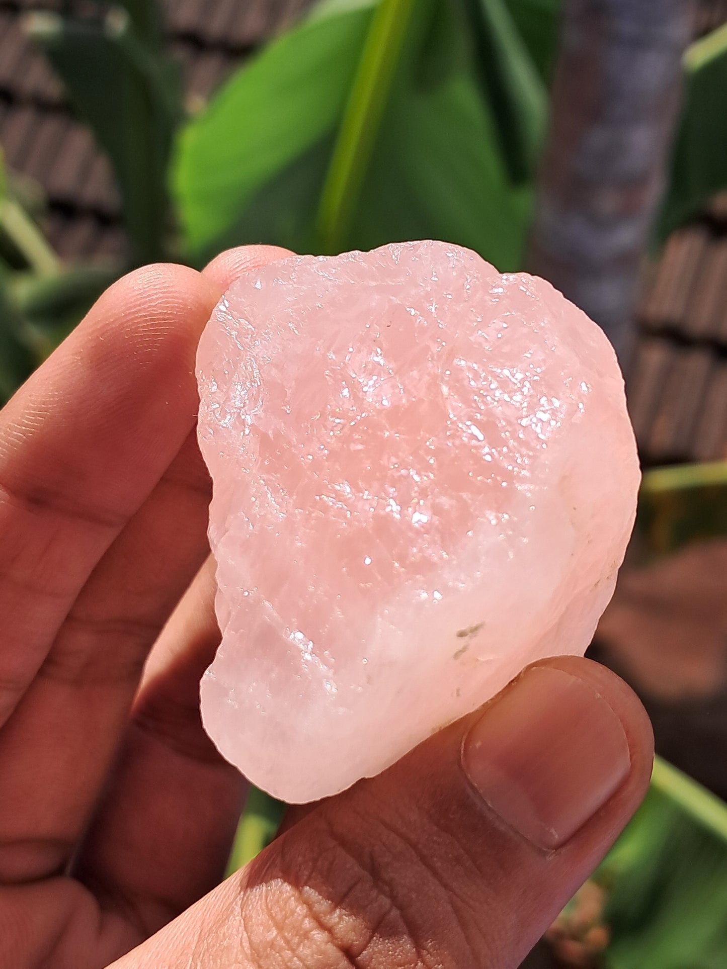 Rose Quartz (Rajasthan) Rough Stone | Natural Gemstone #RQ11